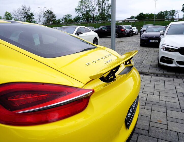 Porsche Cayman 15
