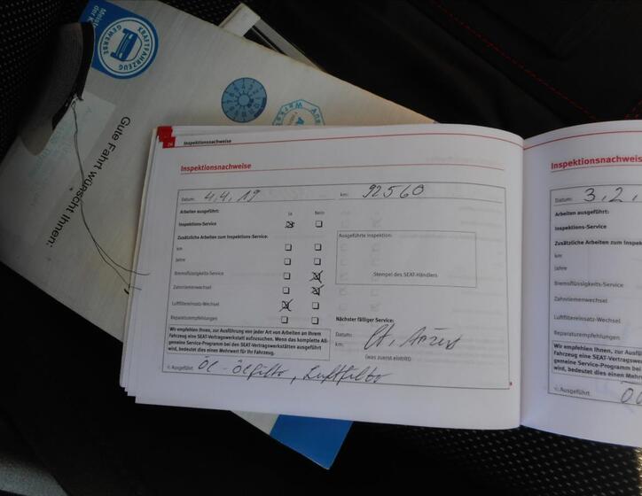 Seat Ibiza 29