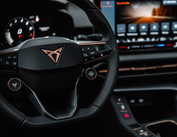 Cupra Ostatní 22