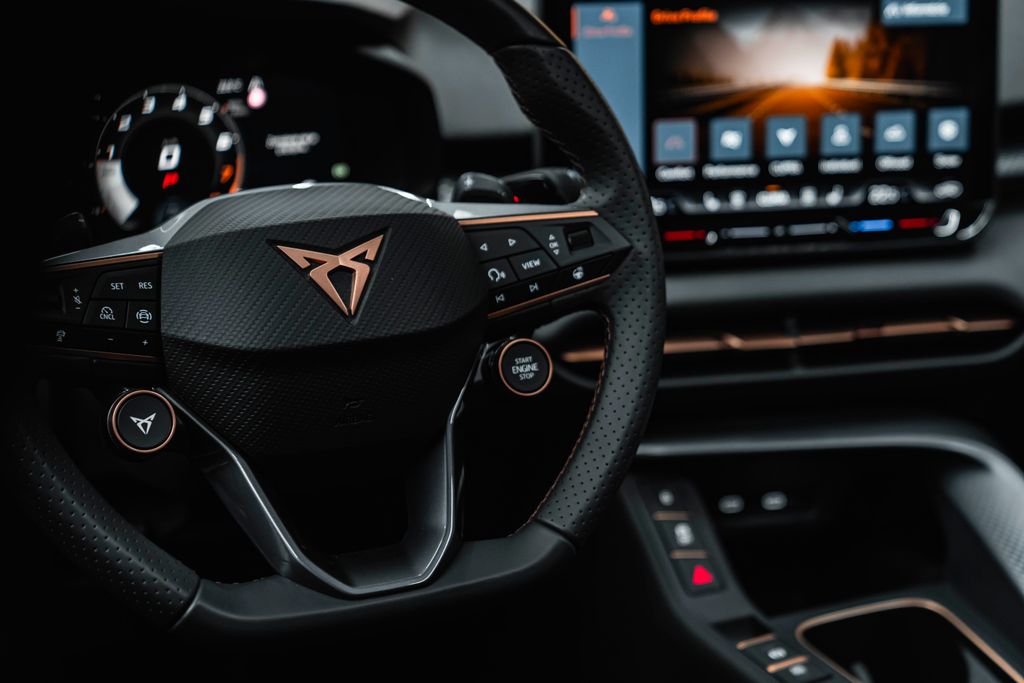 Cupra Ostatní