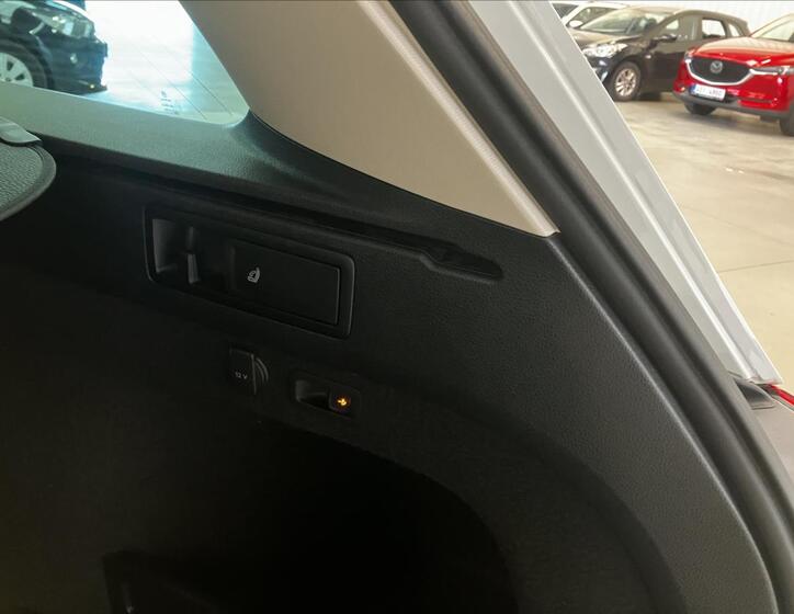 Volkswagen Passat 30