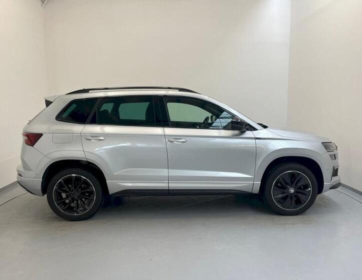 Škoda Karoq 11