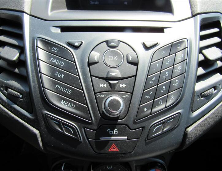 Ford Fiesta 17