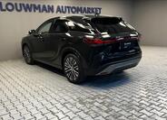 Lexus RX 450h plus 13