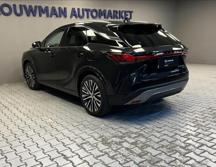 Lexus RX 450h plus 13
