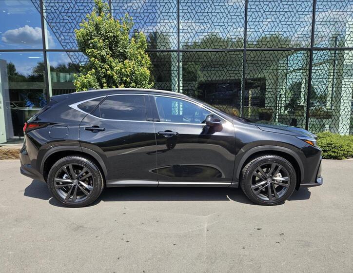 Lexus NX 450h plus 6