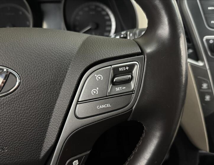 Hyundai Santa Fe 13
