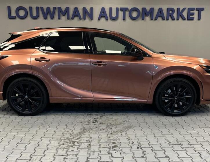 Lexus RX 500h 14