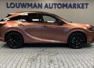 Lexus RX 500h 14