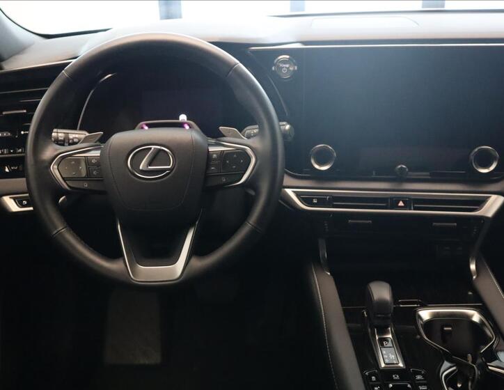 Lexus RX 450h+ 18