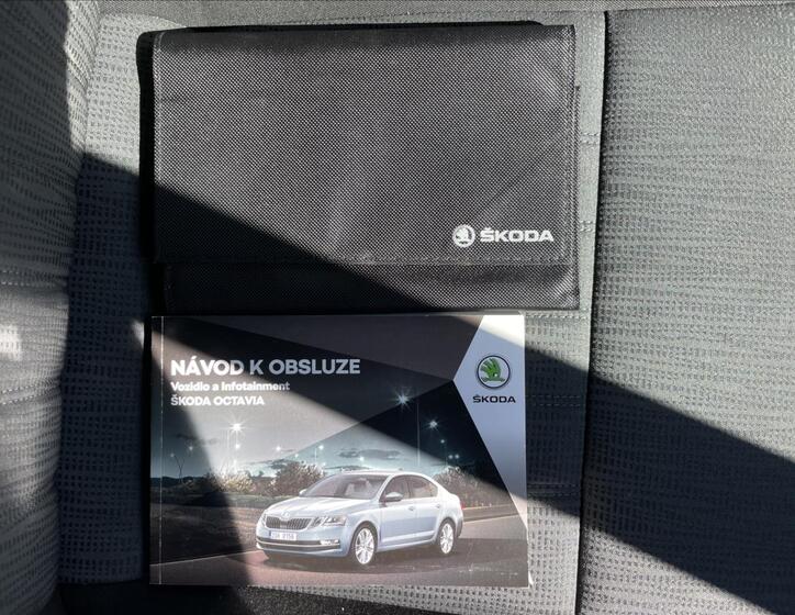 Škoda Octavia 19