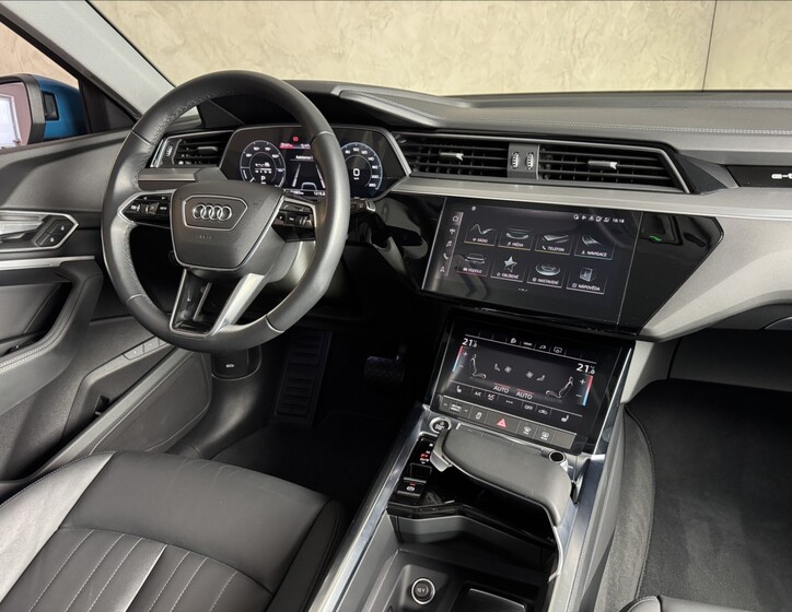 Audi e-tron 19