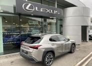 Lexus UX 250h 5