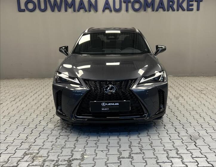 Lexus UX 300h 4