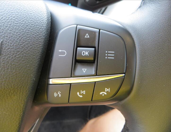 Ford Focus 21