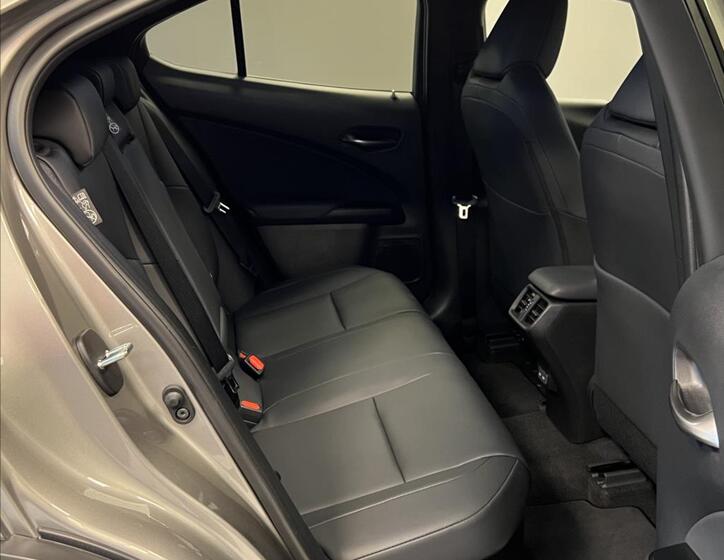 Lexus UX 300h 10