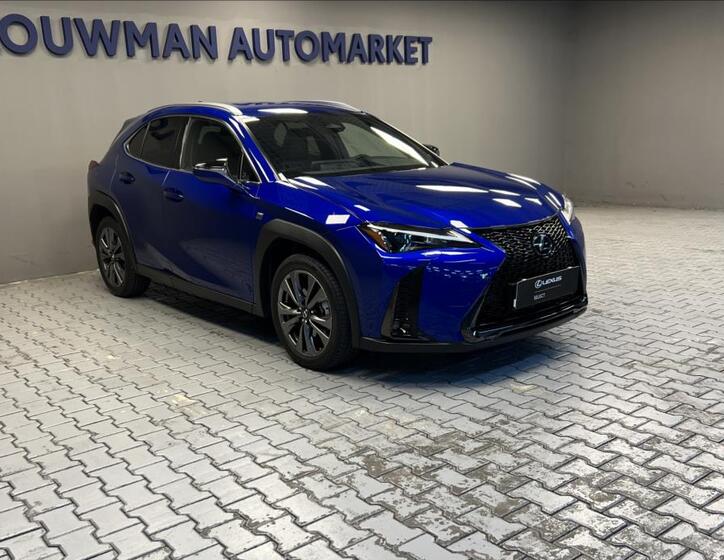 Lexus UX 300h 11