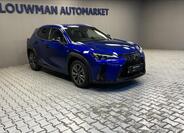 Lexus UX 300h 11