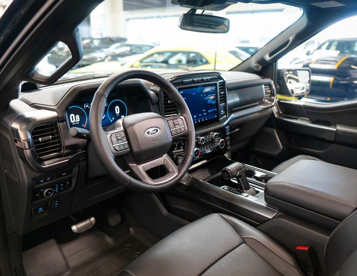 Ford F-150 14