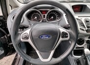 Ford Fiesta 13