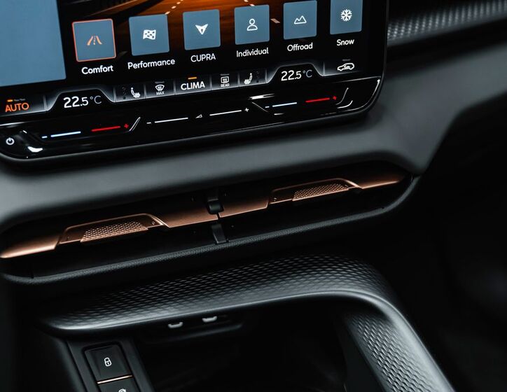 Cupra Ostatní 14