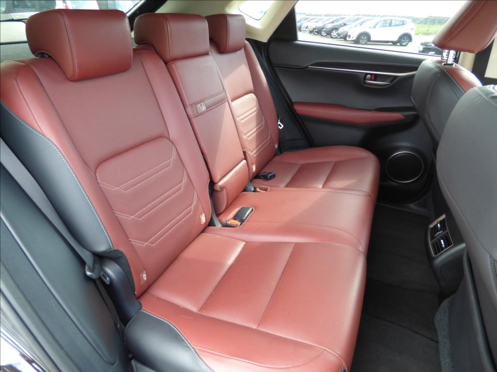 Lexus NX 300h