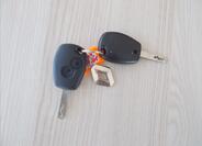 Renault Trafic 33