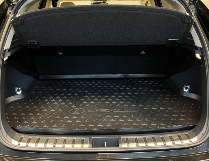 Lexus NX 300h 9
