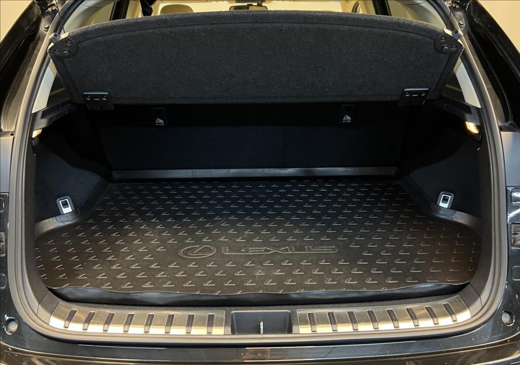 Lexus NX 300h