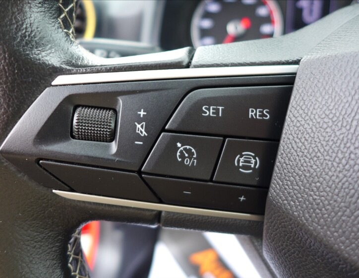Seat Arona 17