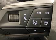 Seat Ibiza 13