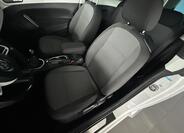 Volkswagen Beetle 19