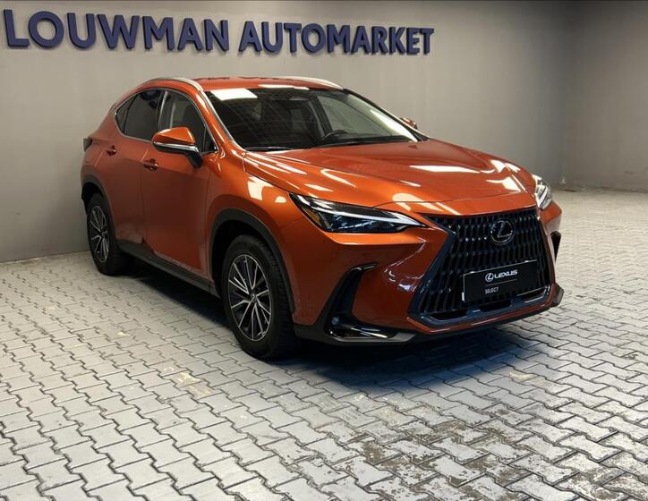 Lexus NX 450h plus 11