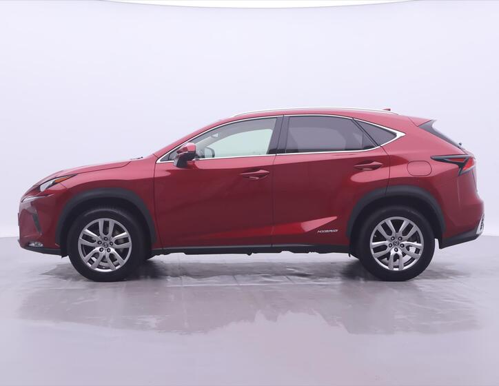 Lexus NX 300h 4