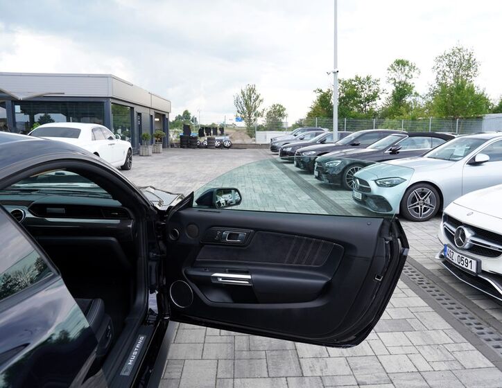 Ford Mustang 19