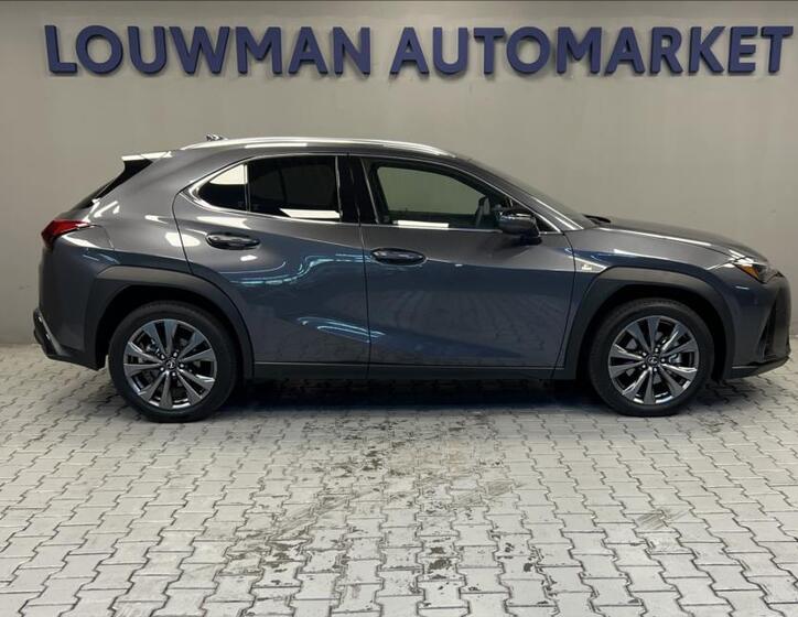 Lexus UX 300h 14