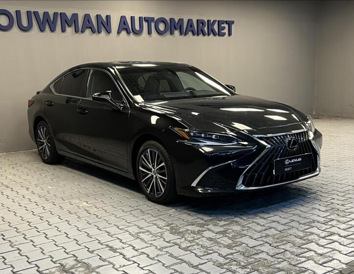 Lexus ES 300h 11