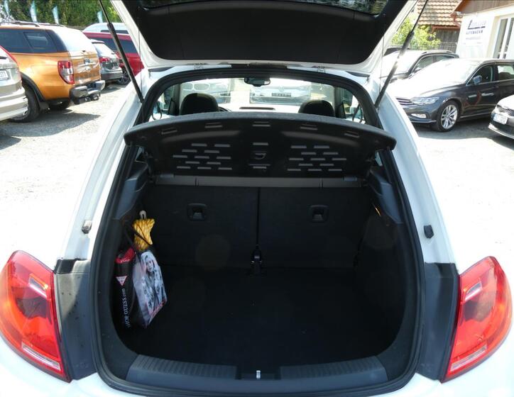 Volkswagen Beetle 16