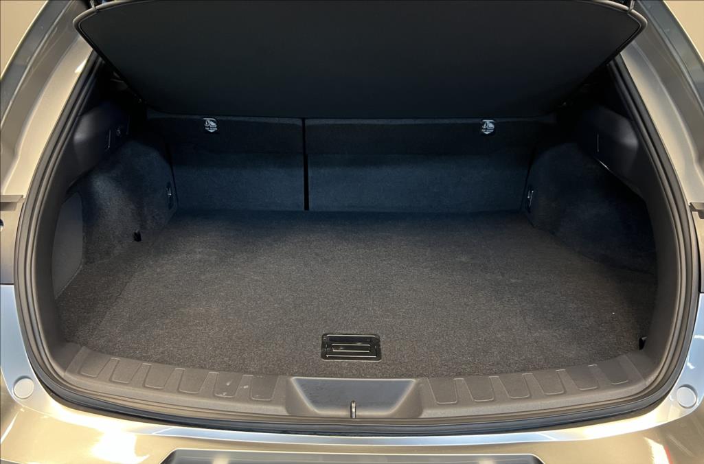 Lexus UX 300h