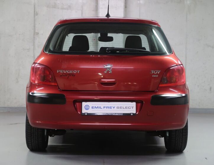 Peugeot 307 6