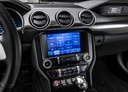 Ford Mustang 19