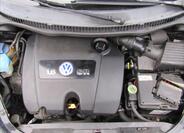 Volkswagen New Beetle 25