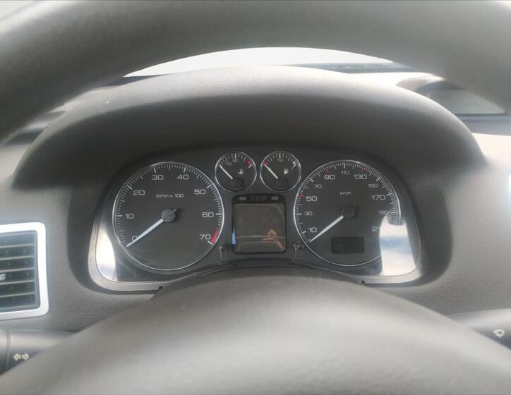 Peugeot 307 12