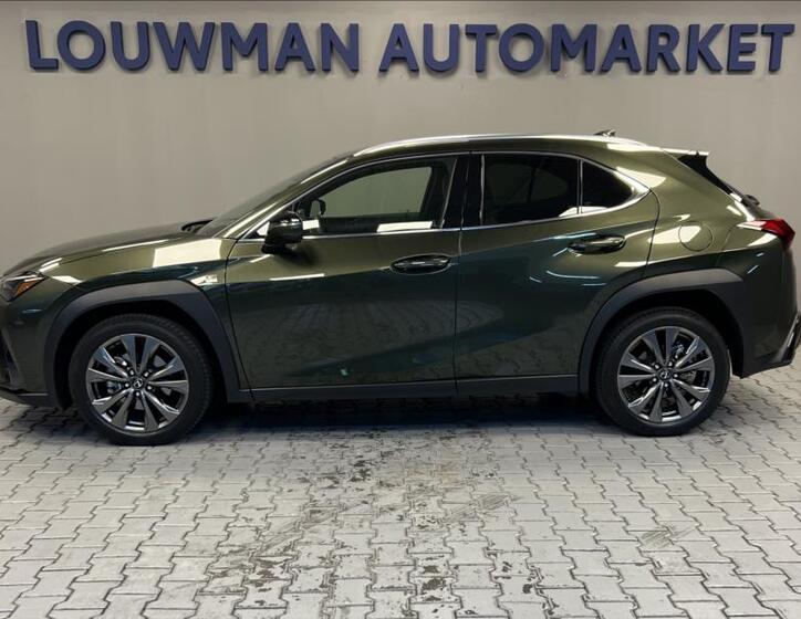 Lexus UX 300h 3