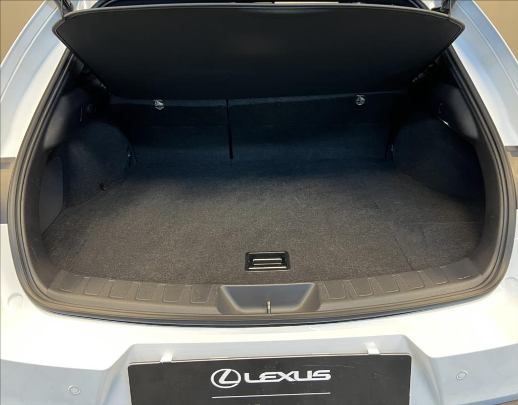 Lexus UX 250h