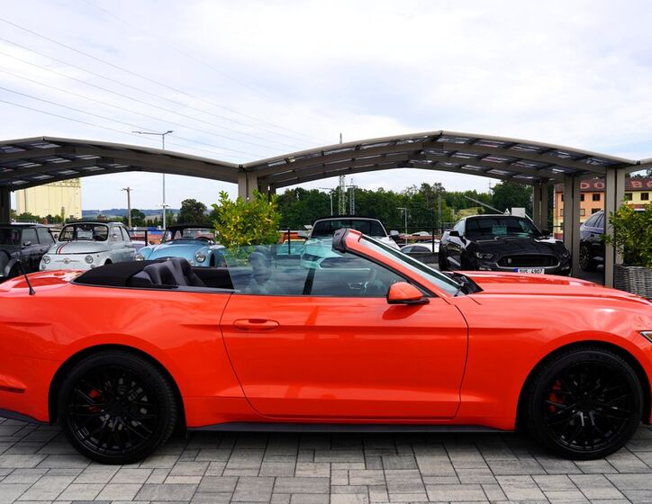 Ford Mustang 13