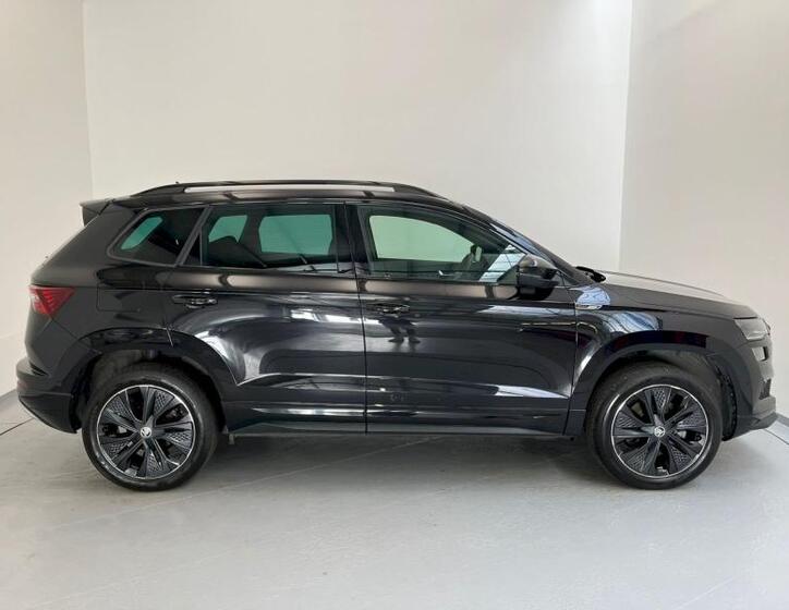 Škoda Karoq 7