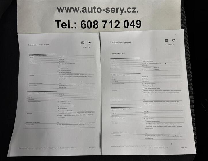 Seat Alhambra 41