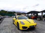 Porsche Cayman 8