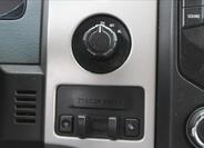 Ford F-150 22